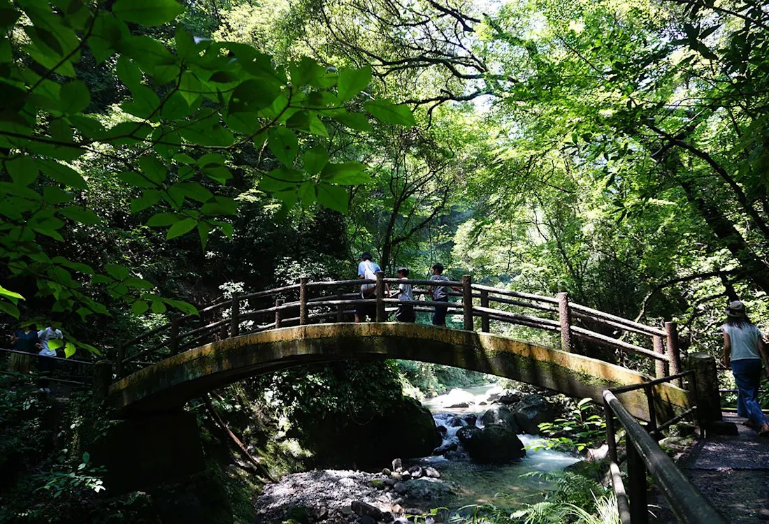 ⛩️ 천의 암굴 신사 (아마노이와토 진자) 이미지 4